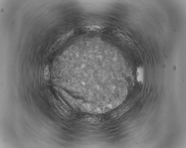 X0000086921395200705071316