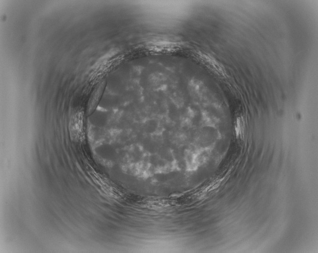 X0000086921396200705071316