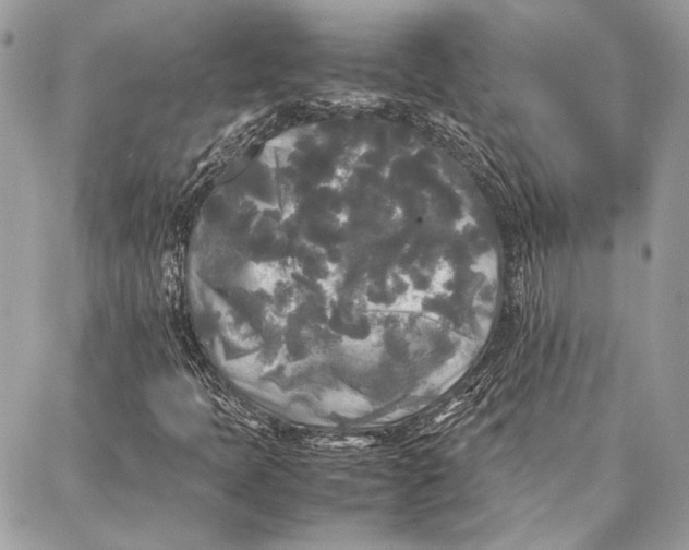 X0000086921397200705071316