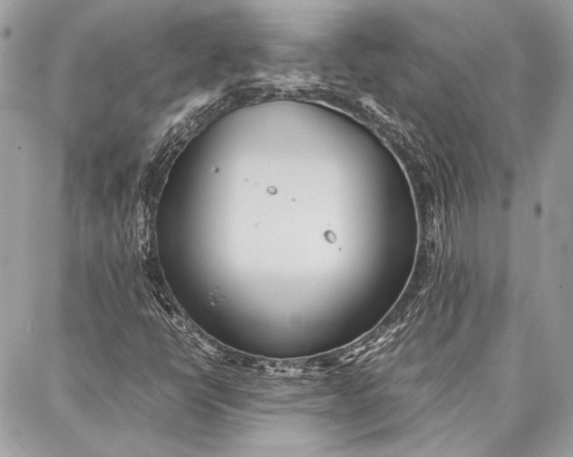 X0000086921398200705071316