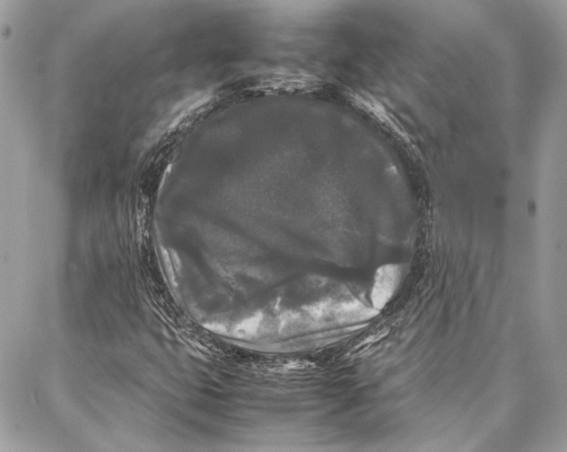 X0000086921399200705071316