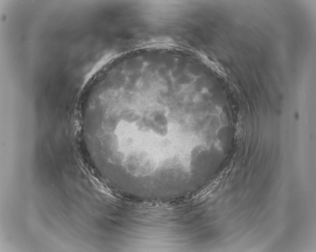 X0000086921400200705071316