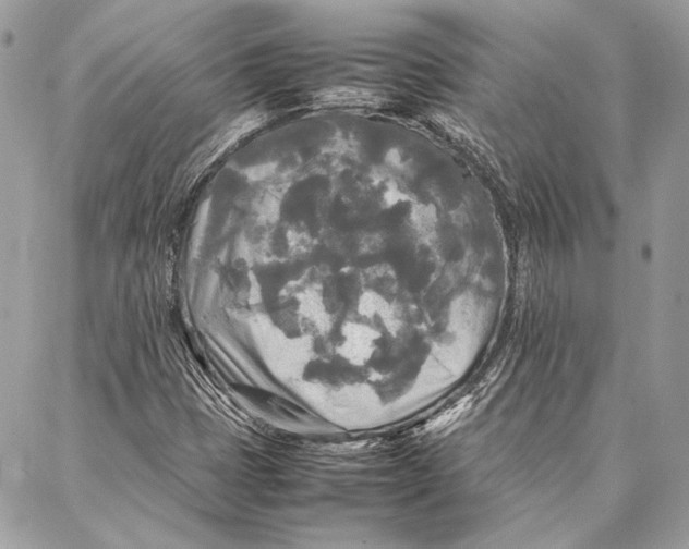 X0000086921401200705071316