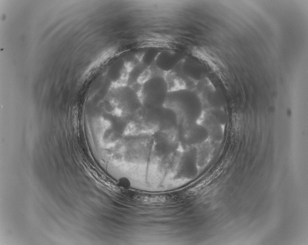 X0000086921403200705071316