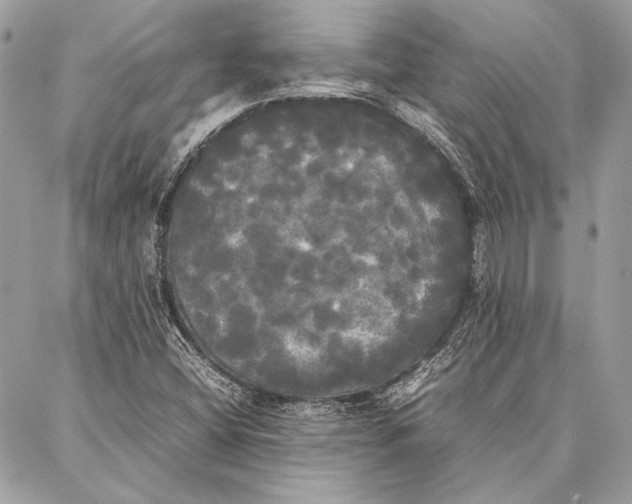 X0000086921404200705071316