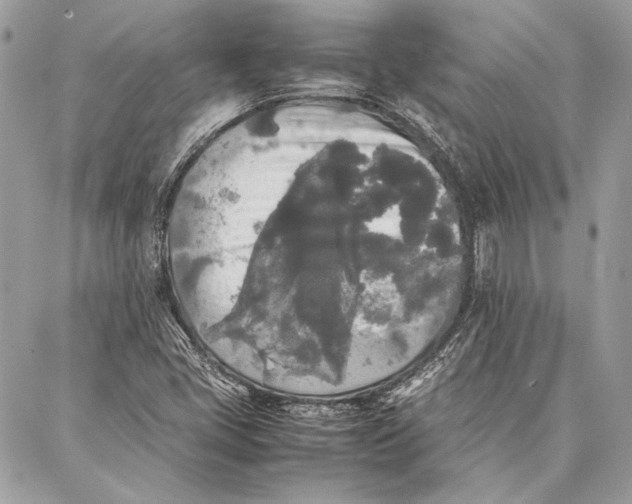 X0000086921405200705071316