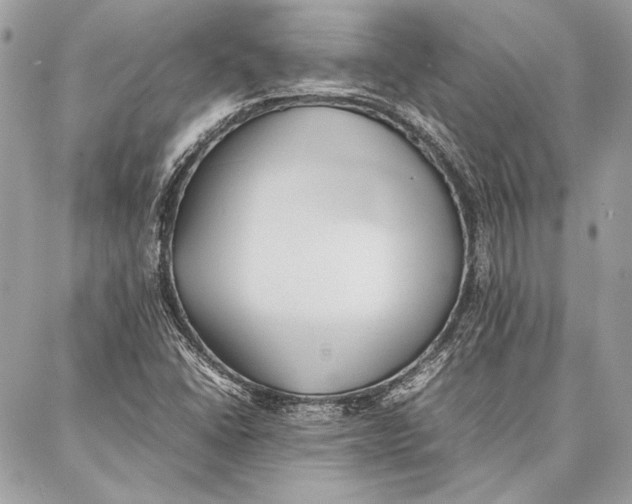 X0000086921406200705071316