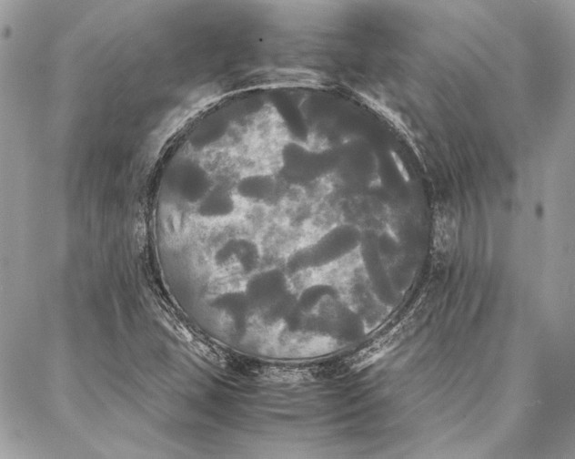 X0000086921407200705071316