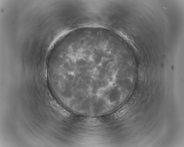 X0000086921408200705071316