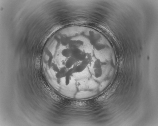 X0000086921409200705071316