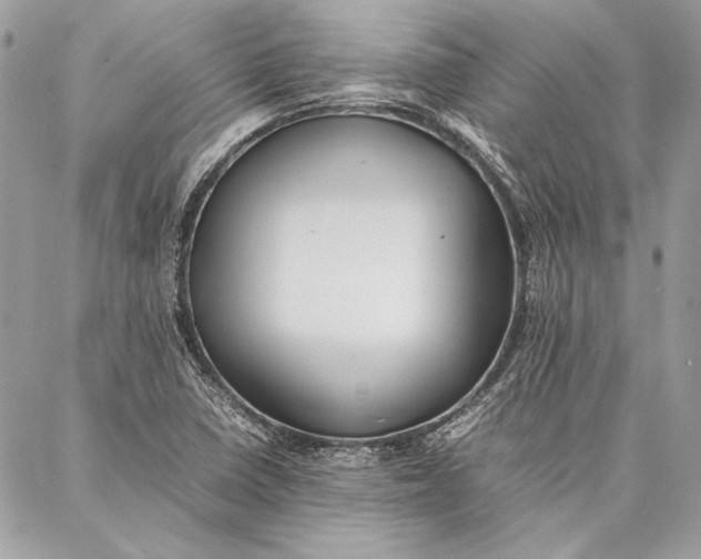 X0000086921410200705071316