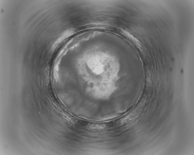 X0000086921411200705071316