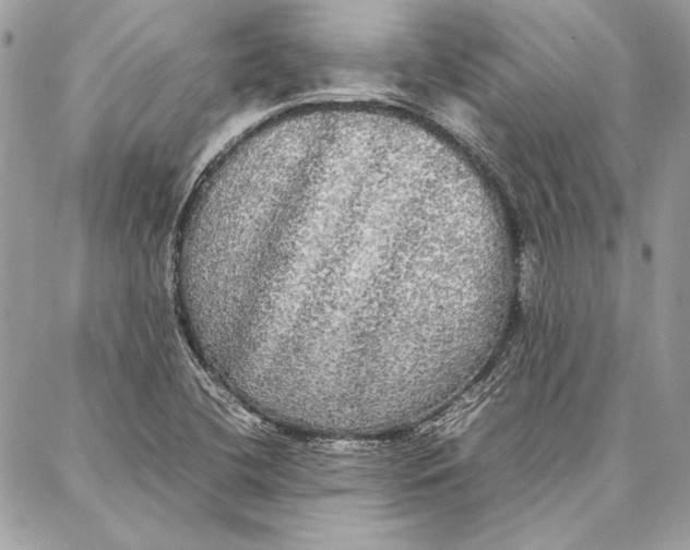 X0000086921412200705071316