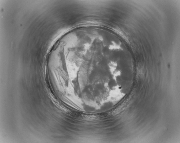 X0000086921413200705071316