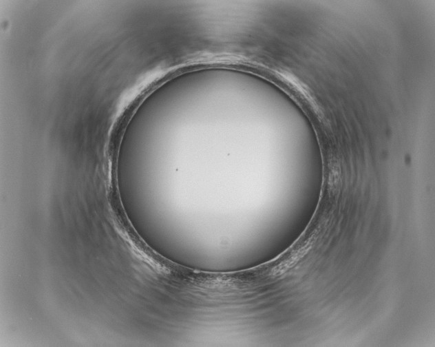 X0000086921414200705071316