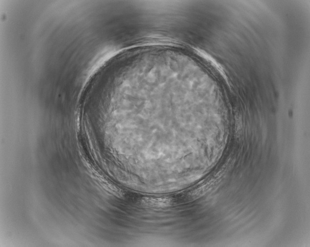 X0000086921415200705071316