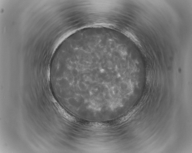 X0000086921420200705071317