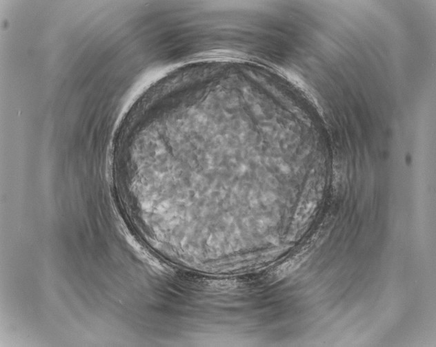 X0000086921421200705071317