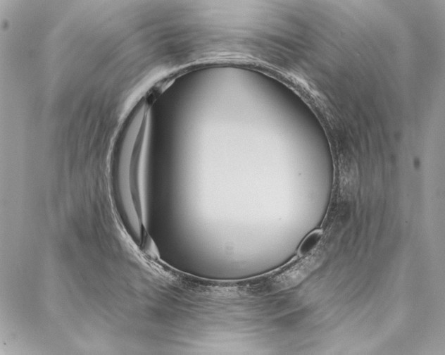 X0000086921422200705071317