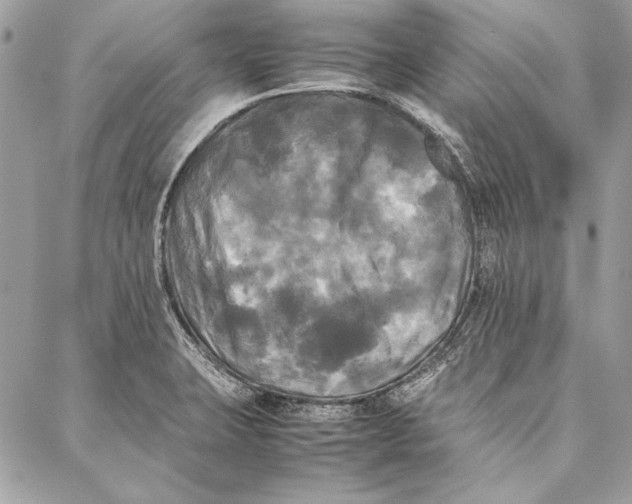 X0000086921423200705071317