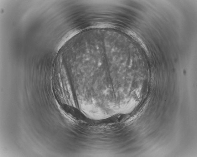 X0000086921425200705071317