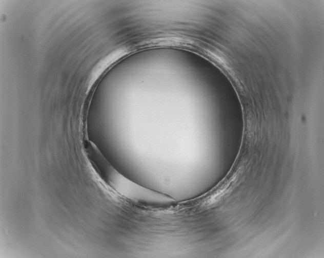 X0000086921426200705071317