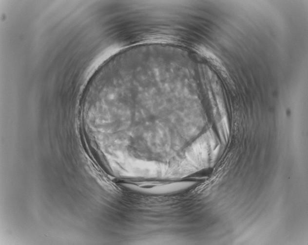 X0000086921427200705071317