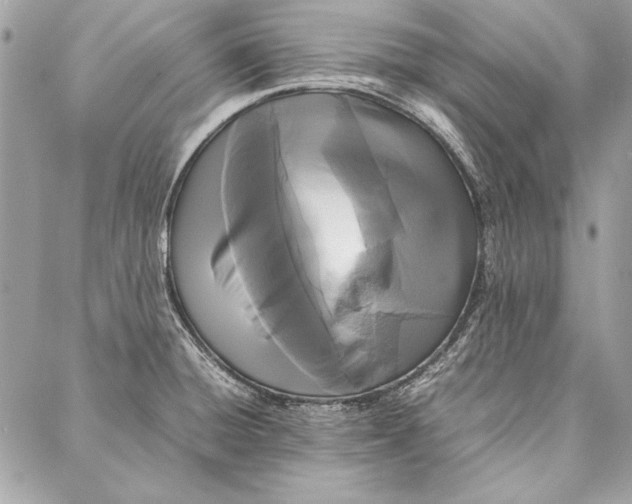 X0000086921428200705071317