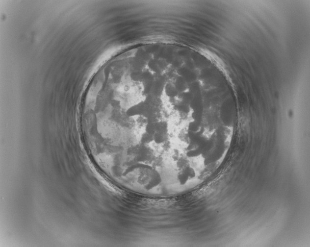 X0000086921429200705071317