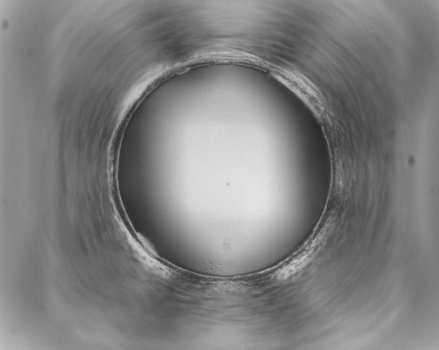 X0000086921430200705071317