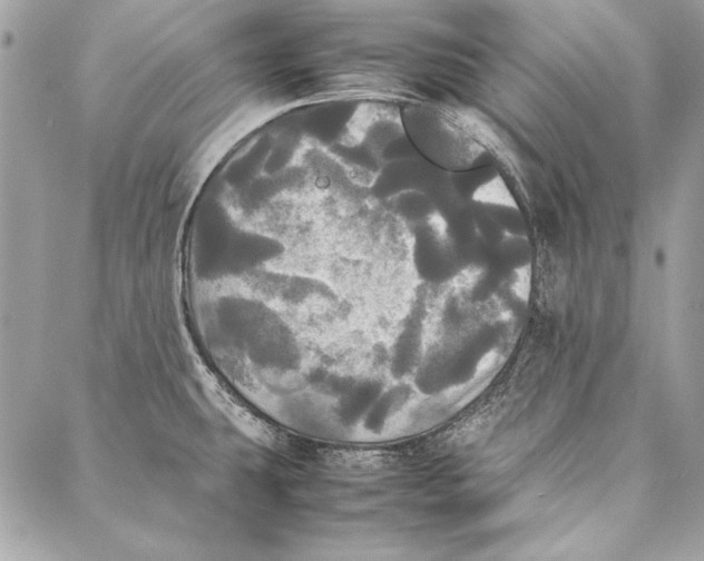 X0000086921431200705071317