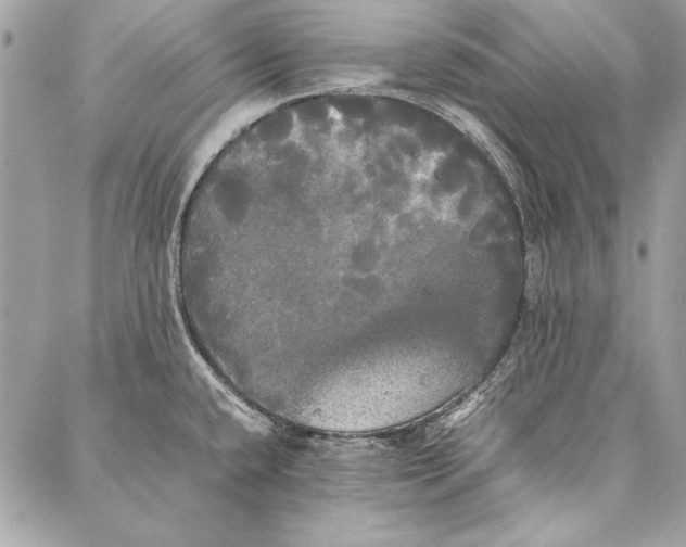 X0000086921432200705071317