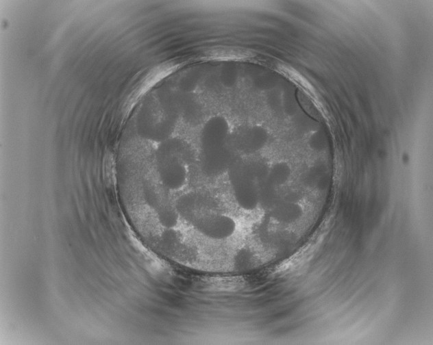 X0000086921433200705071317