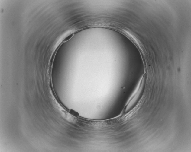 X0000086921434200705071317