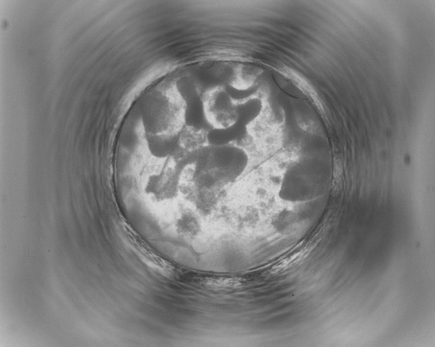 X0000086921435200705071317