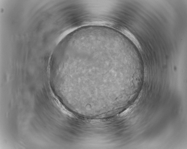 X0000086921436200705071317