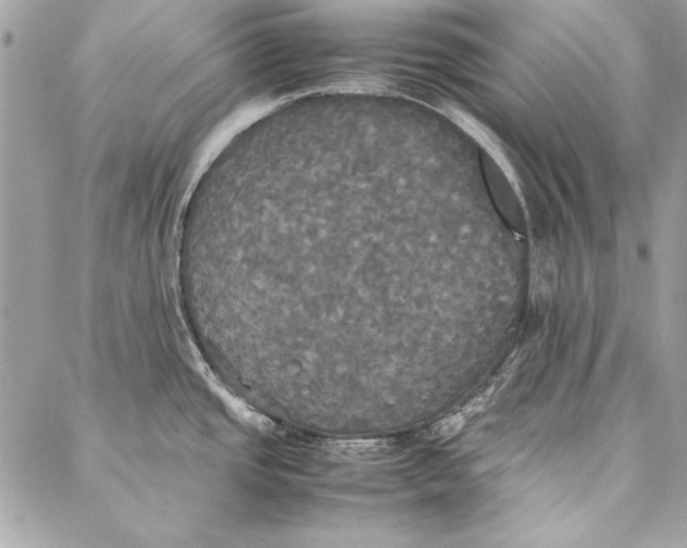 X0000086921437200705071317