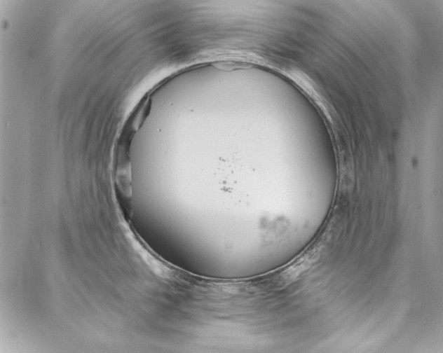 X0000086921438200705071317