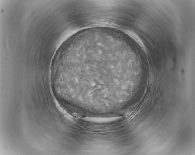 X0000086921439200705071317