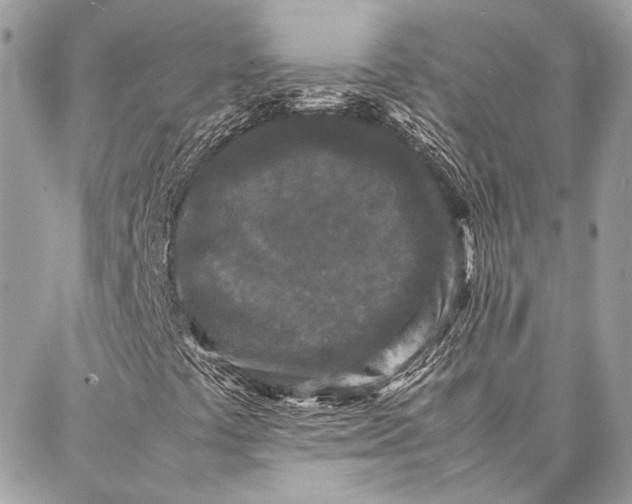 X0000086921441200705071316