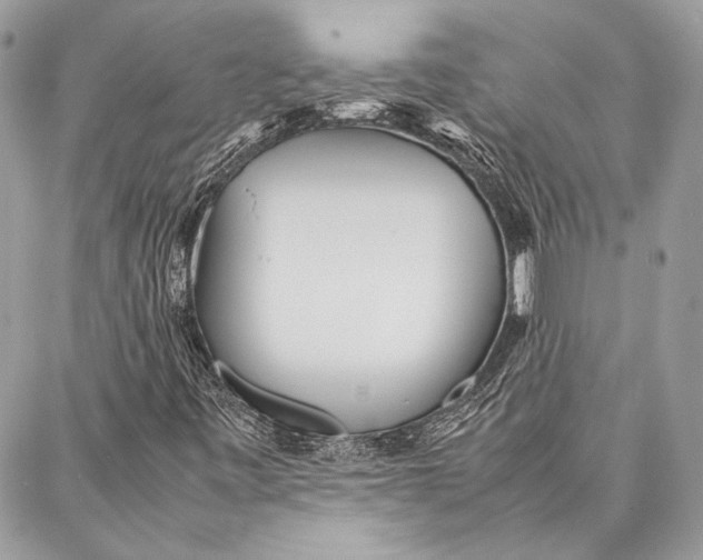 X0000086921443200705071316