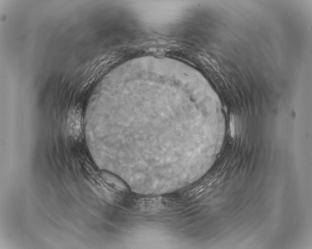 X0000086921444200705071316