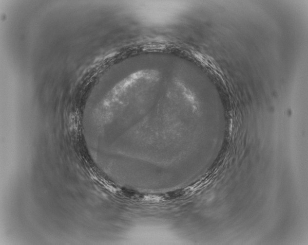 X0000086921445200705071316