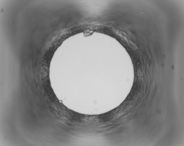 X0000086921447200705071316