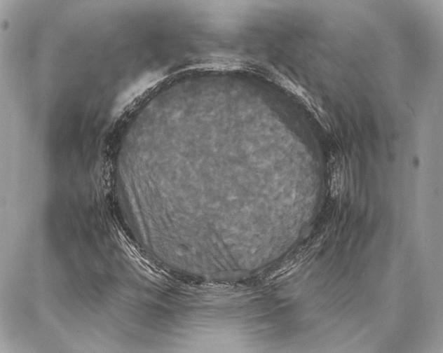 X0000086921448200705071316