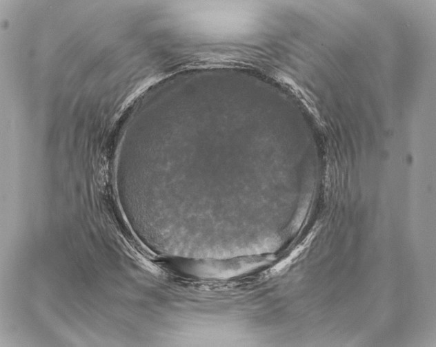 X0000086921449200705071316