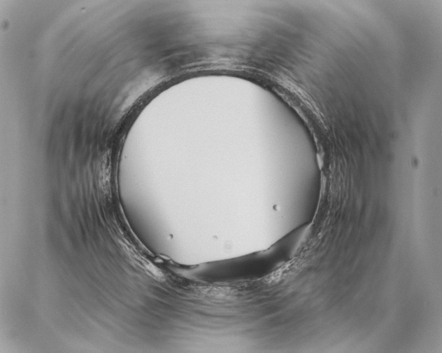 X0000086921450200705071316