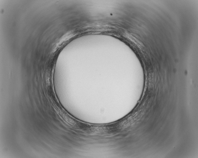 X0000086921451200705071316