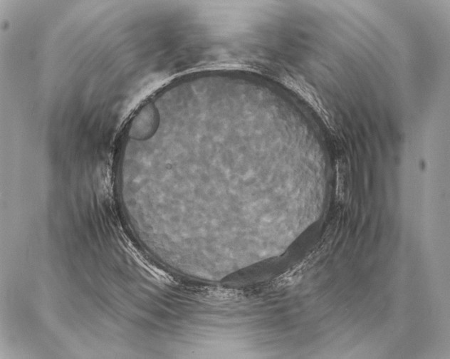 X0000086921452200705071316