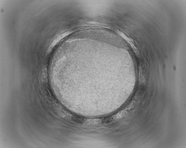 X0000086921453200705071316